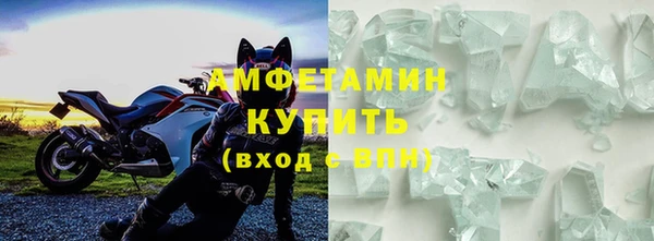 сатива Инта