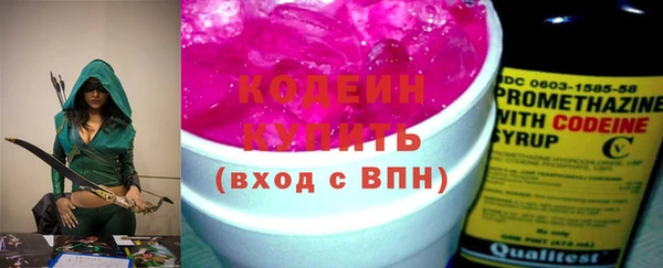 apvp Каменка