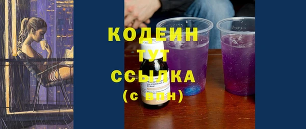 сатива Инта