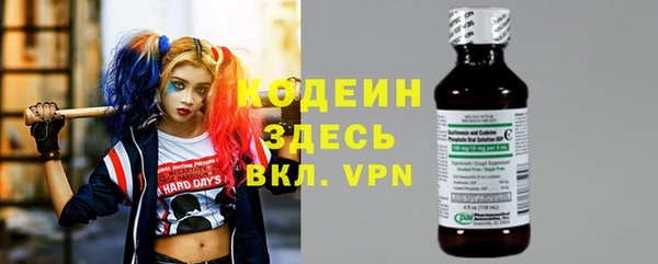 apvp Каменка