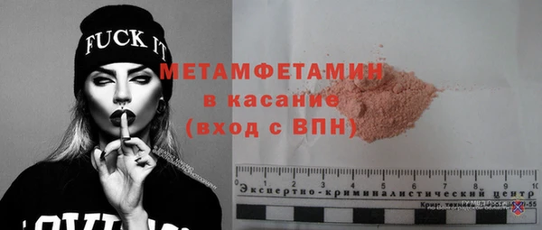 сатива Инта