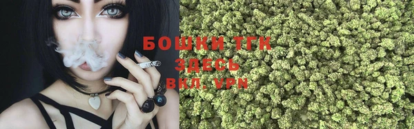 apvp Каменка