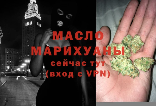 сатива Инта