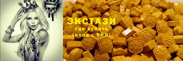 сатива Инта