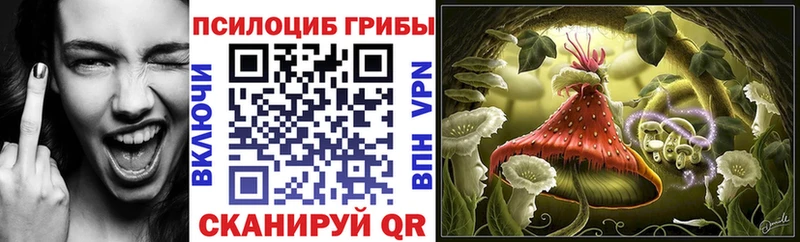 цены наркотик  Торжок  Псилоцибиновые грибы ЛСД 
