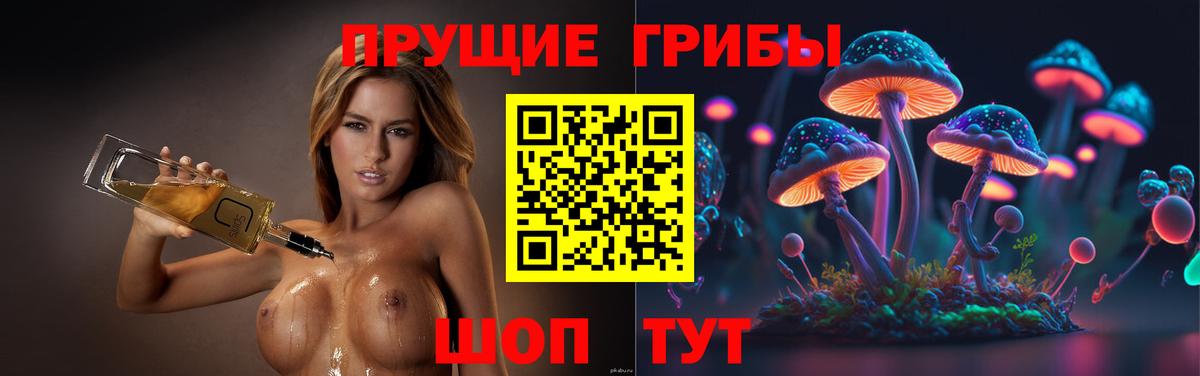 хочу наркоту  Псилоцибиновые грибы GOLDEN TEACHER  Вход с VPN  Торжок 