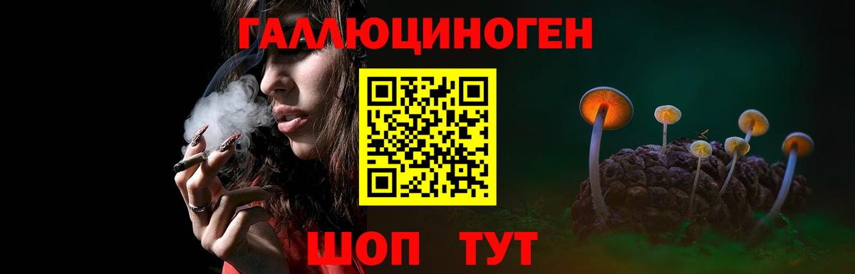 Псилоцибиновые грибы ЛСД Торжок
